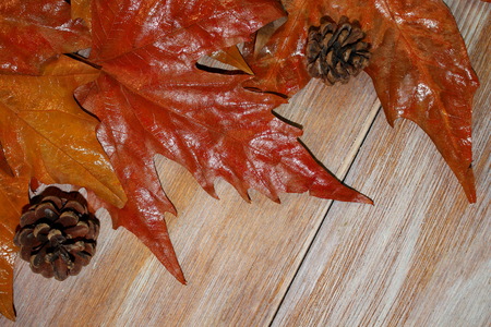 autumn leavesの写真素材