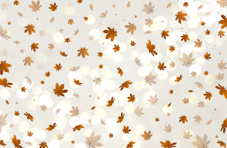 autumn leavesの写真素材