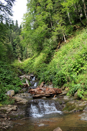 mountain riverの写真素材