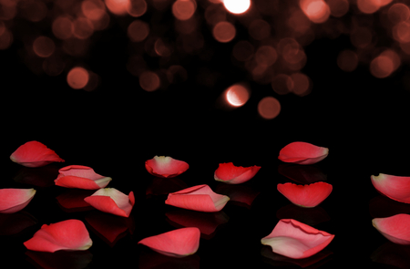 Petalの写真素材