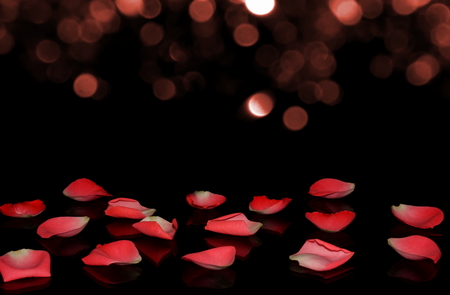Petalの写真素材