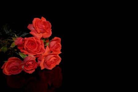 Petalの写真素材
