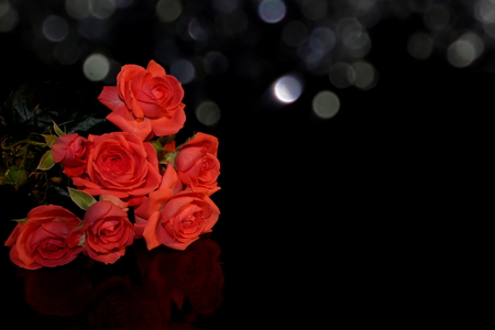 Roseの写真素材