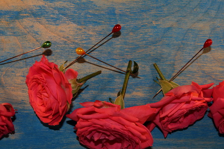 Roseの写真素材