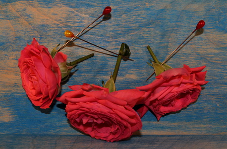Roseの写真素材