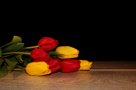 tulipsの写真素材