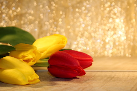 tulipsの写真素材