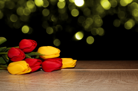 tulipsの写真素材