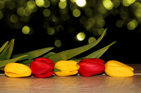 tulipsの写真素材