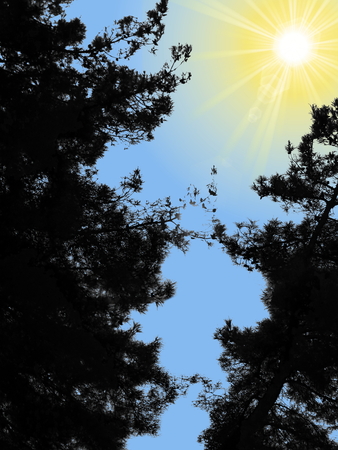 treesの写真素材