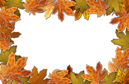 autumn leaveの写真素材