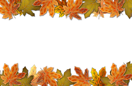 autumn leaveの写真素材