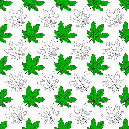 maple leavesの写真素材