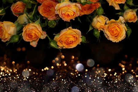 roseの写真素材