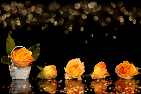 roseの写真素材