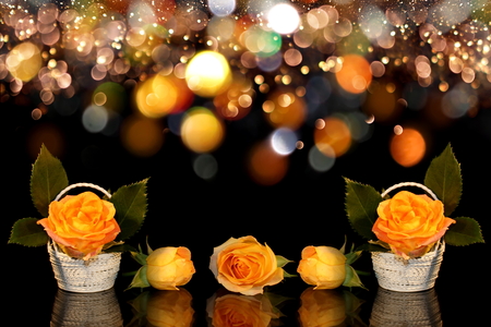 roseの写真素材