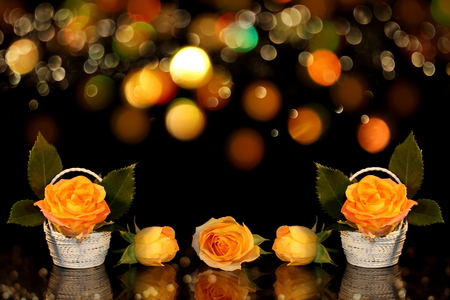 roseの写真素材