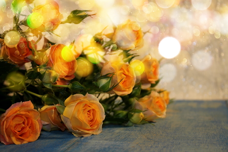 roseの写真素材