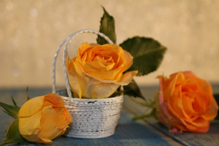 roseの写真素材