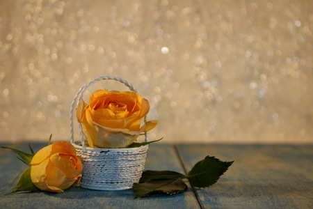 roseの写真素材