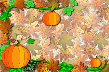 pumpkinの写真素材