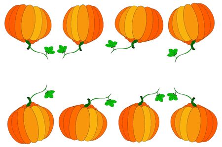 pumpkinの写真素材