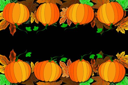 pumpkinの写真素材