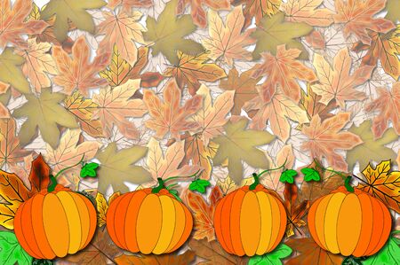 pumpkinの写真素材
