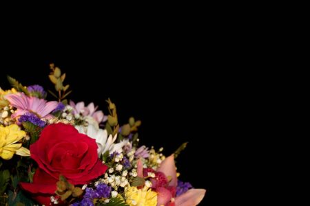 flowersの写真素材
