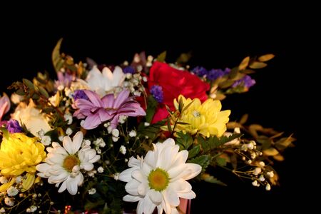 flowersの写真素材
