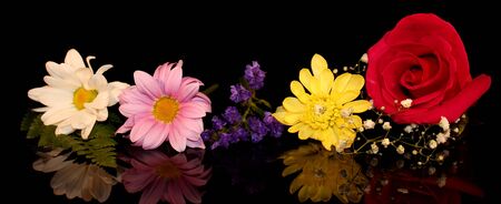 flowersの写真素材