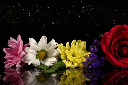 flowersの写真素材