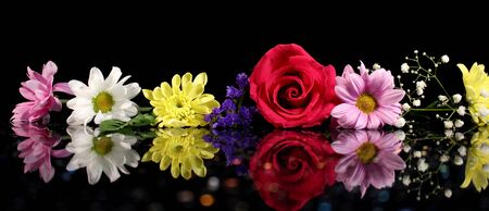 flowersの写真素材
