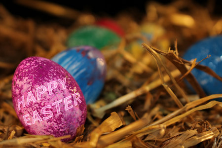 beautiful colorful Easter eggs lie on the strawの写真素材