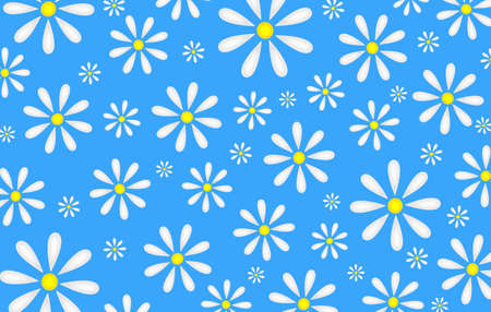 beautiful illustration of daisies on a blue backgroundの写真素材
