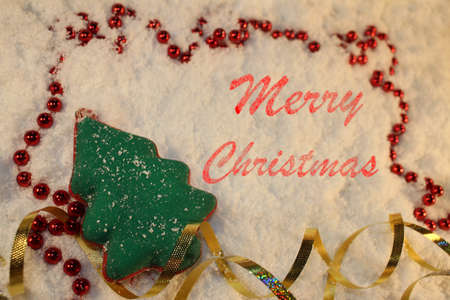 beautiful green Christmas tree lies on the white snowの写真素材