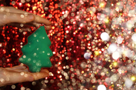 beautiful green Christmas tree is lying on your hand on a shiny backgroundの写真素材