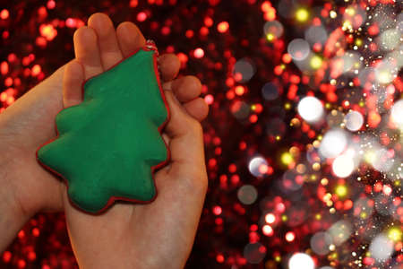 beautiful green Christmas tree is lying on your hand on a shiny backgroundの写真素材