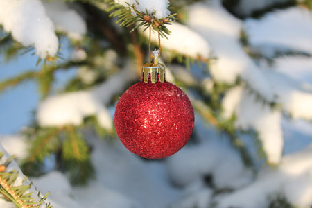 A Christmas toy is hanging on a snow-covered green fir treeの写真素材