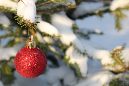 A Christmas toy is hanging on a snow-covered green fir treeの写真素材