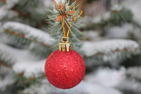 A Christmas toy is hanging on a snow-covered green fir treeの写真素材