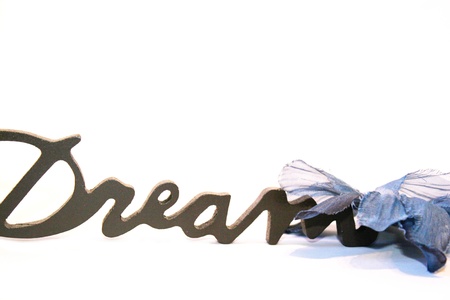 Close-up of the word dream on a white background with a blue bowの写真素材