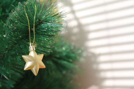 Sunny Christmas