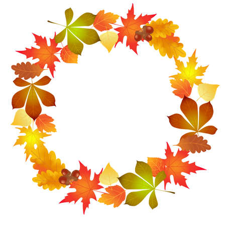 autumn leaves, circle background, illustration, vector,のイラスト素材