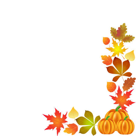 autumn leaves, pumpkin, background corner, illustration, vector,のイラスト素材