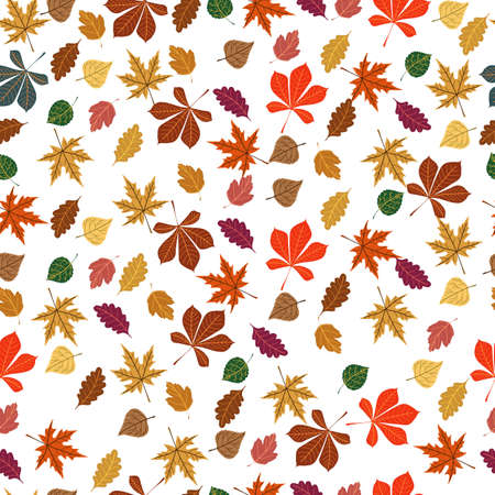 autumn leaves, seamless background, illustration, vector,のイラスト素材