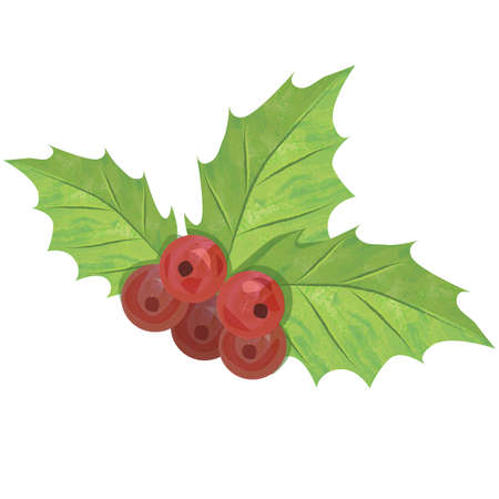CHRISTMAS MISTLETOE ILLUSTRATION. Bright red and green designs.のイラスト素材