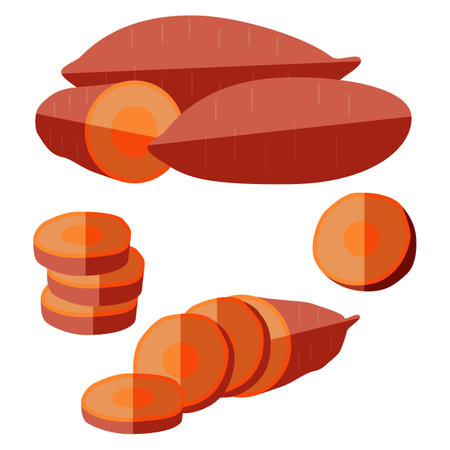 Sweet potatoes set. Sweet potato whole. Half and chopped sweet potato. Slices sweet potato. Healthy, diet, vegetarian food. Vector illustrations isolated on white background. Flat design.のイラスト素材