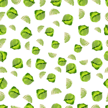 Seamless background of white cabbage. Cabbage. Leafy vegetable. Fresh organic and healthy, diet and vegetarian food. Vector illustrations isolated on white background. green.のイラスト素材