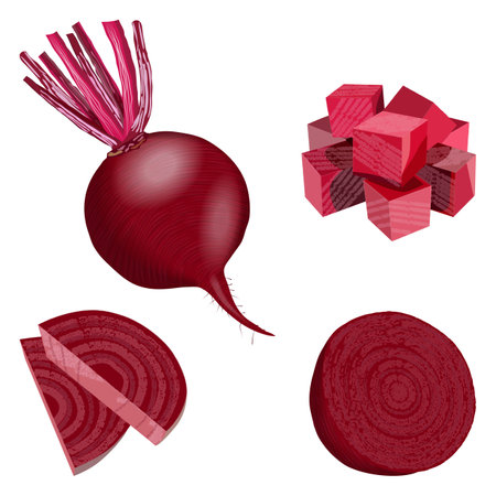 Beetroot. Whole, sliced beetroot and half beetroot, diced beets for banners, flyers. Fresh organic and healthy, diet and vegetarian food. Vector illustration isolated on white backgroundのイラスト素材